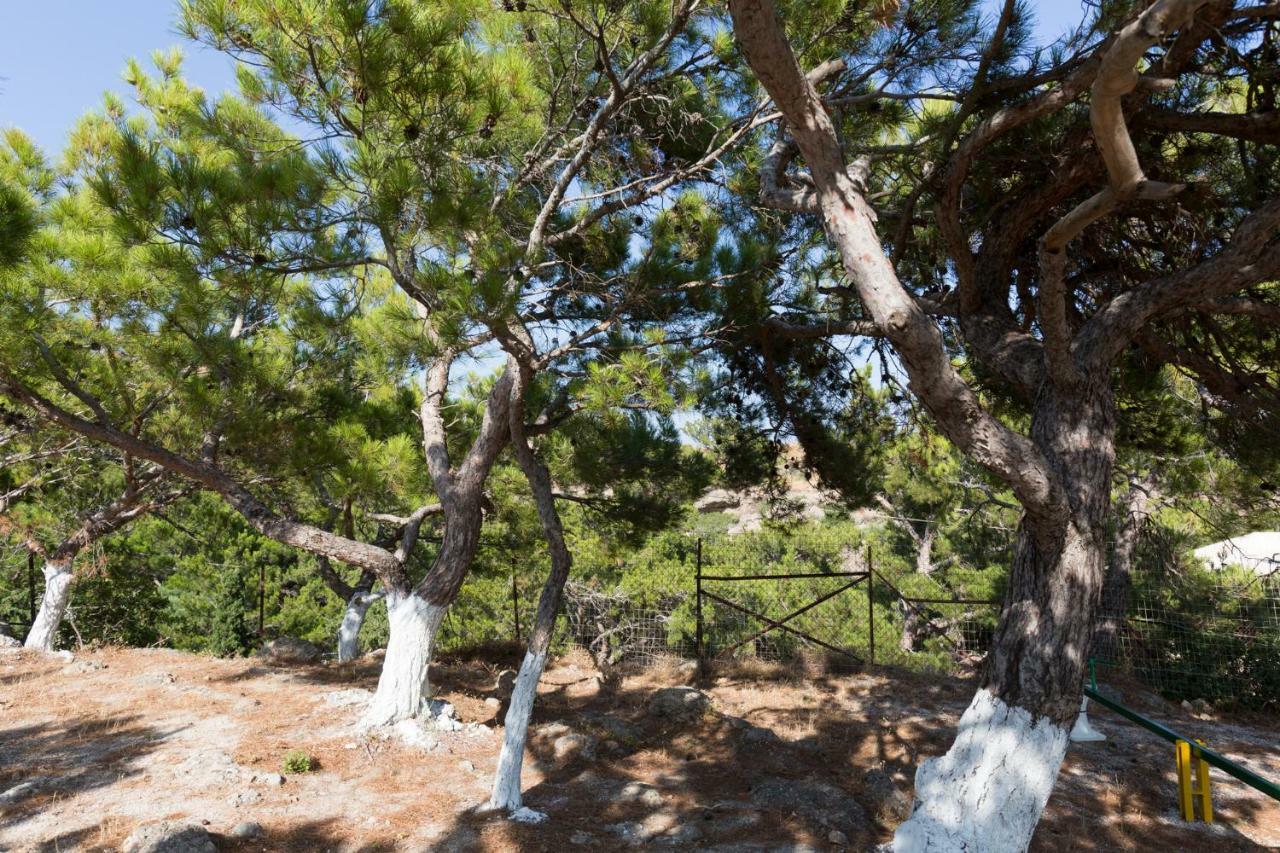 Ferma Hill Apartments Εξωτερικό φωτογραφία