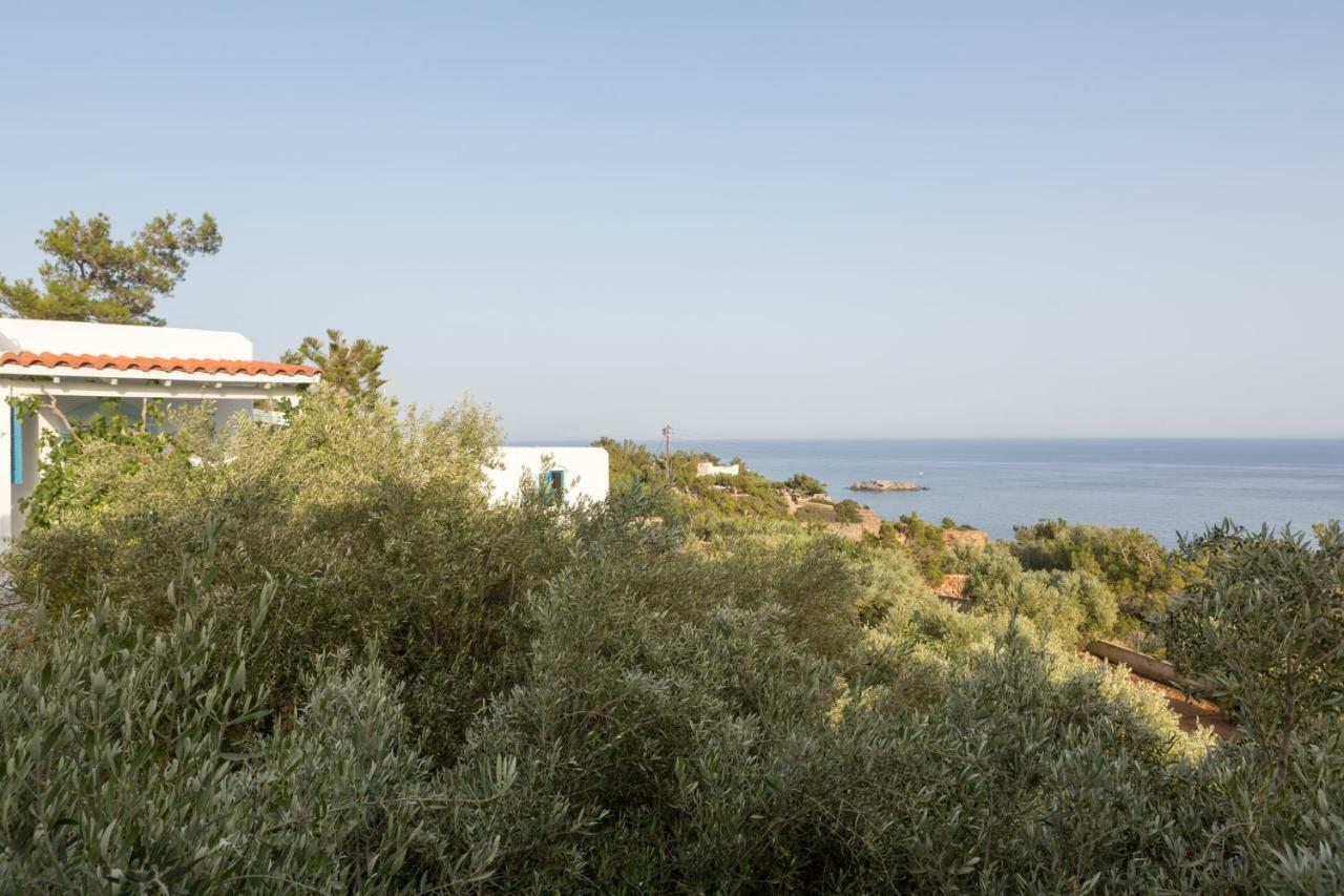 Ferma Hill Apartments Εξωτερικό φωτογραφία